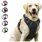 Dog Collar & Harness Set – Leather Puppy Leash & Vest for Small & Medium Dogs