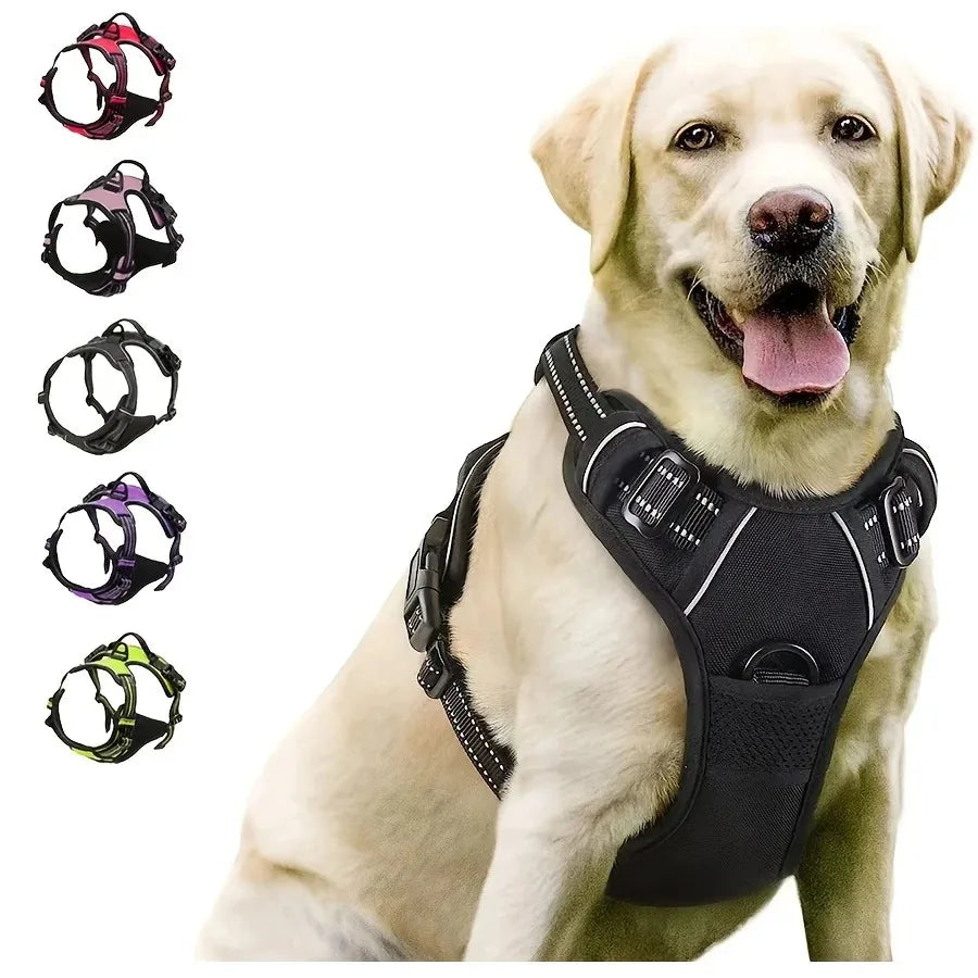 Dog Collar & Harness Set – Leather Puppy Leash & Vest for Small & Medium Dogs