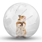 10cm / 12cm Hamster Exercise Ball – Safe Running Toy for Hamsters, Gerbils, Rats, Mice & Small Rodents