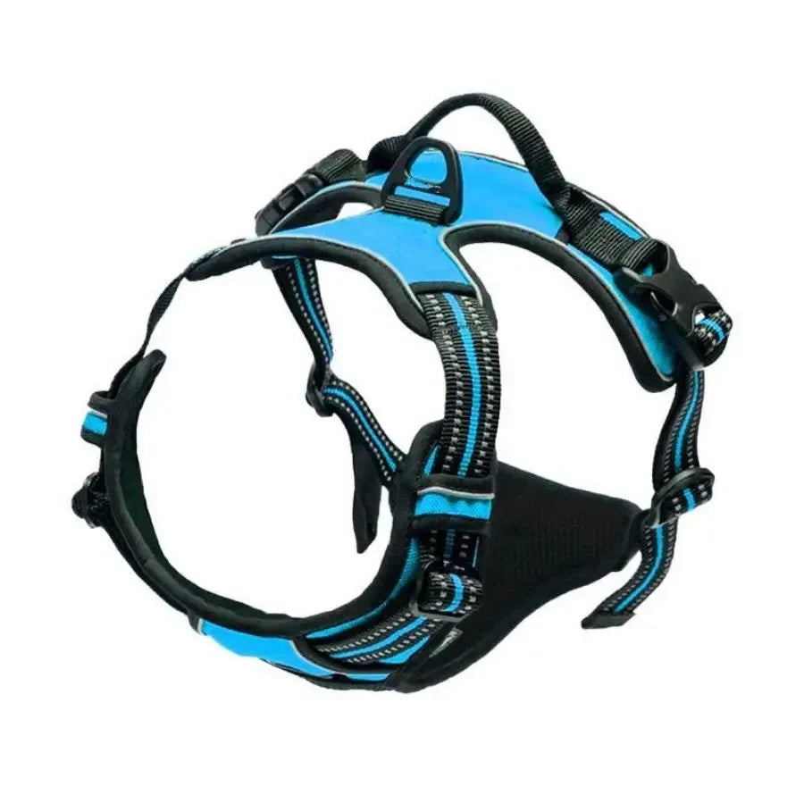 Dog Collar & Harness Set – Leather Puppy Leash & Vest for Small & Medium Dogs