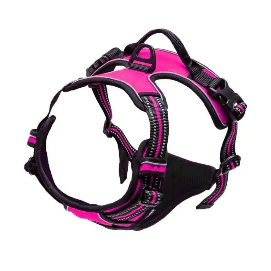 Dog Collar & Harness Set – Leather Puppy Leash & Vest for Small & Medium Dogs