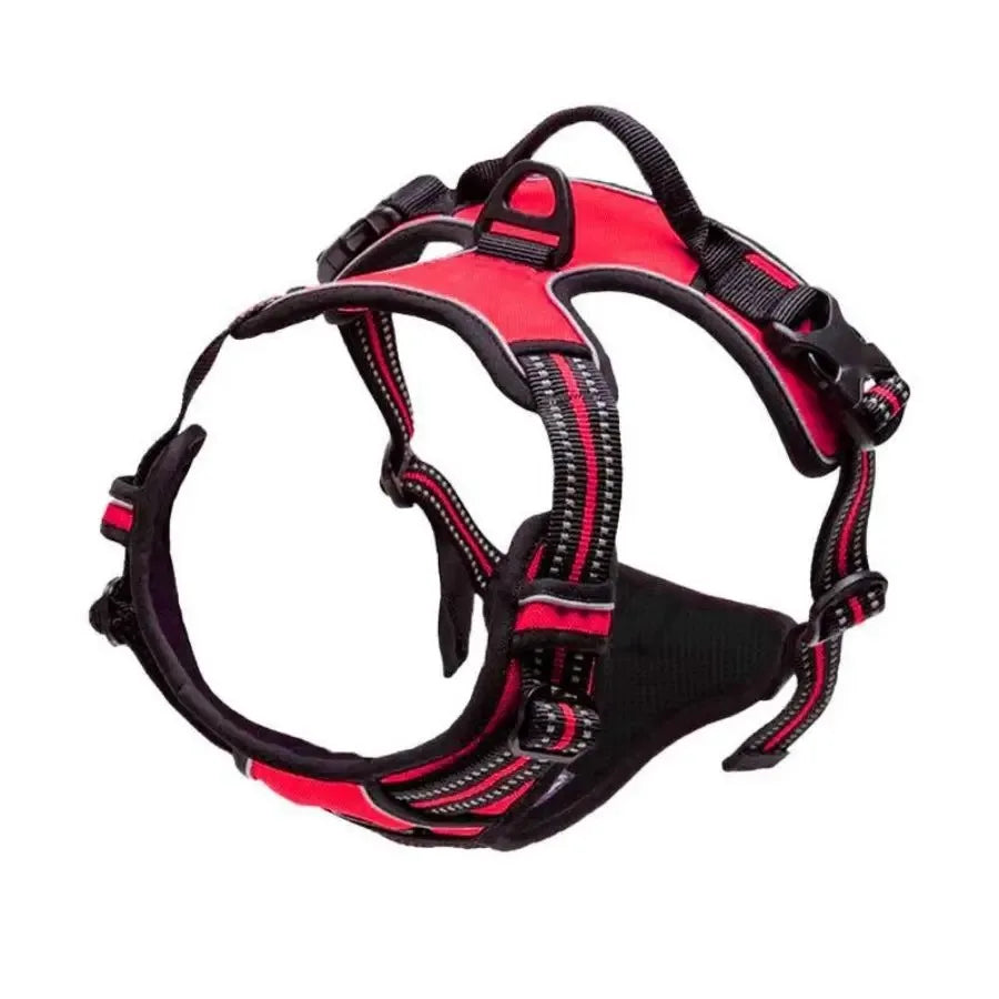 Dog Collar & Harness Set – Leather Puppy Leash & Vest for Small & Medium Dogs