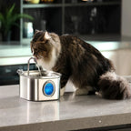 3.2L Stainless Steel Automatic Pet Water Fountain – Smart Cat & Dog Dispenser with Transparent Window, Quiet Filtered Drinking Bowl for Pets