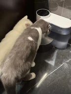 Automatic Pet Water Dispenser – Dog & Cat Fountain with Running Water, USB Charging, Easy-Clean Design