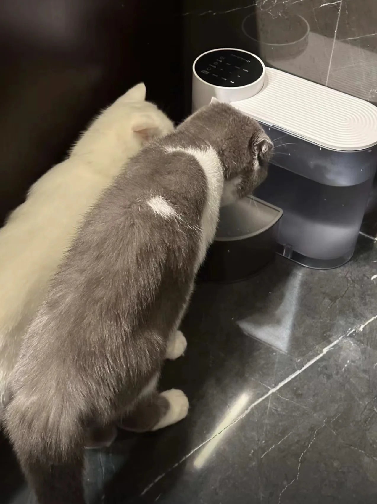 Automatic Pet Water Dispenser – Dog & Cat Fountain with Running Water, USB Charging, Easy-Clean Design