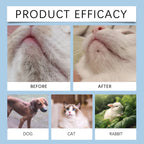 Pet Dental Care Kit – Dog & Cat Toothbrush with 30ml Oral Solution for Tartar Control & Fresh Breath