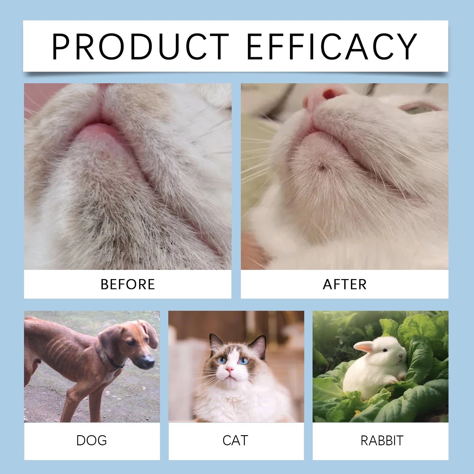 Pet Dental Care Kit – Dog & Cat Toothbrush with 30ml Oral Solution for Tartar Control & Fresh Breath