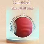 Smart Automatic Rolling Cat Toy – Rechargeable Interactive Mouse Tail for Cats