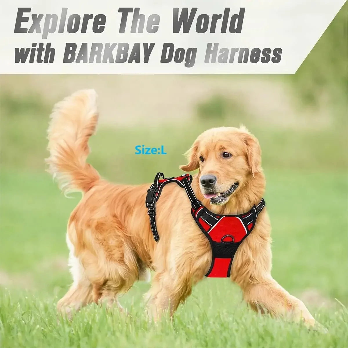 Dog Collar & Harness Set – Leather Puppy Leash & Vest for Small & Medium Dogs