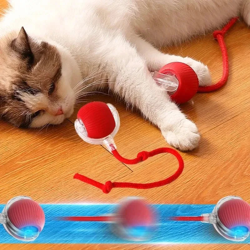 Smart Automatic Rolling Cat Toy – Rechargeable Interactive Mouse Tail for Cats
