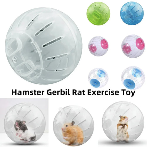 10cm / 12cm Hamster Exercise Ball – Safe Running Toy for Hamsters, Gerbils, Rats, Mice & Small Rodents
