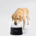 Spill-Proof Slow Drinking Dog Water Bowl – 2000ml Large Capacity Pet Dispenser for Dogs, Puppies & Kittens