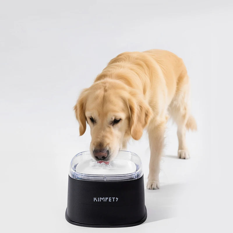 Spill-Proof Slow Drinking Dog Water Bowl – 2000ml Large Capacity Pet Dispenser for Dogs, Puppies & Kittens