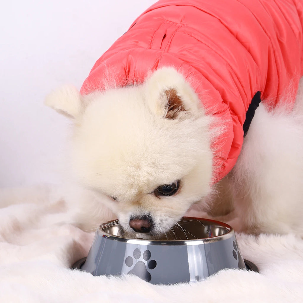 Stainless Steel Pet Bowl – Durable Cat & Dog Food Bowl, Anti-Fall, Multi-Size Feeding Bowl