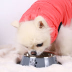 Stainless Steel Pet Bowl – Durable Cat & Dog Food Bowl, Anti-Fall, Multi-Size Feeding Bowl