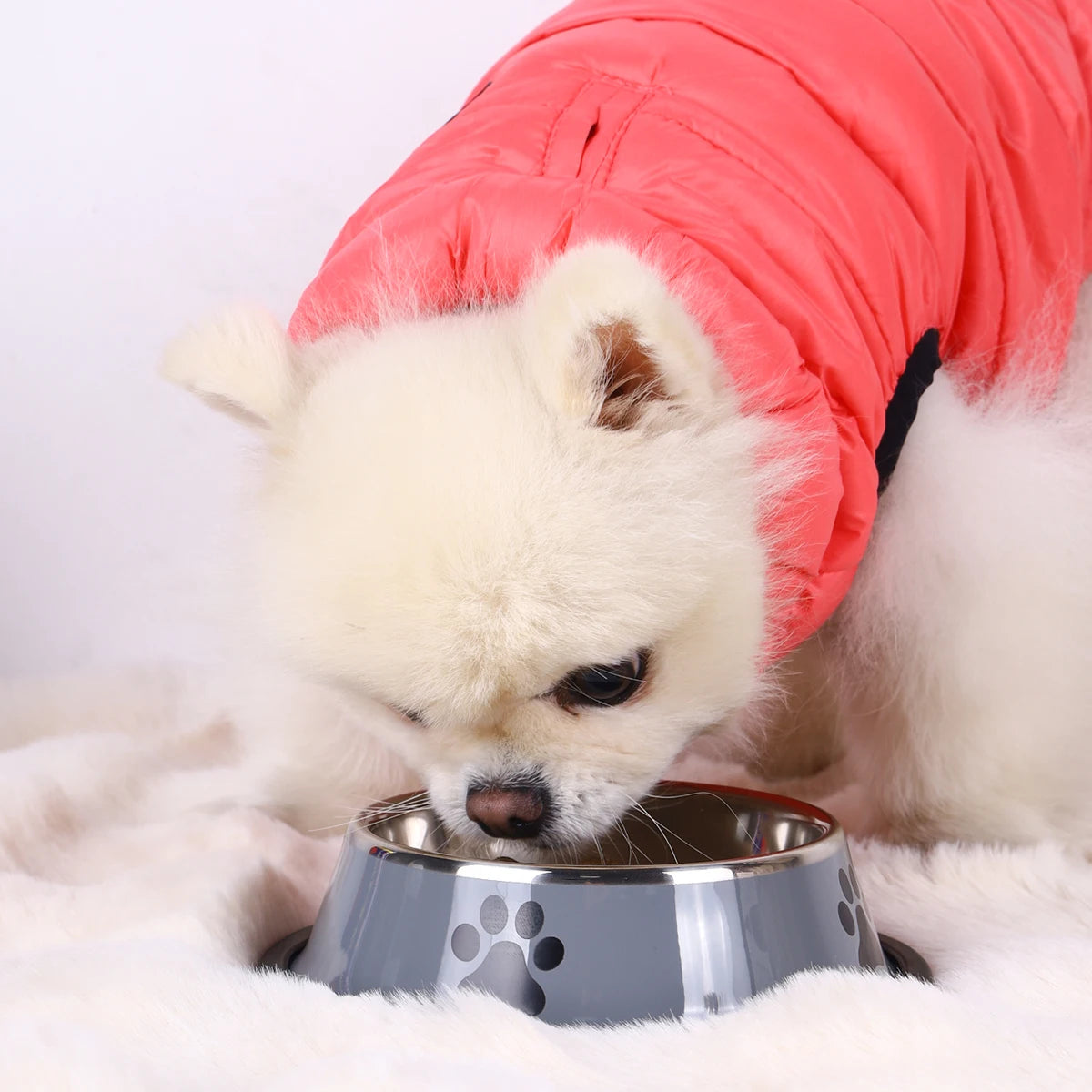 Stainless Steel Pet Bowl – Durable Cat & Dog Food Bowl, Anti-Fall, Multi-Size Feeding Bowl