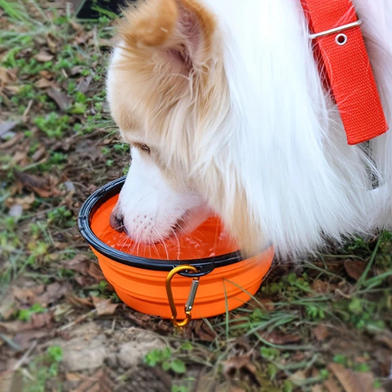 350ML Portable Folding Pet Bowl with Keychain – Travel Cat & Dog Bowl, Durable & Convenient