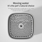 3L Cat Water Fountain – Automatic Recirculating Filter, Large Capacity Silent USB Electric Dispenser for Cats & Pets