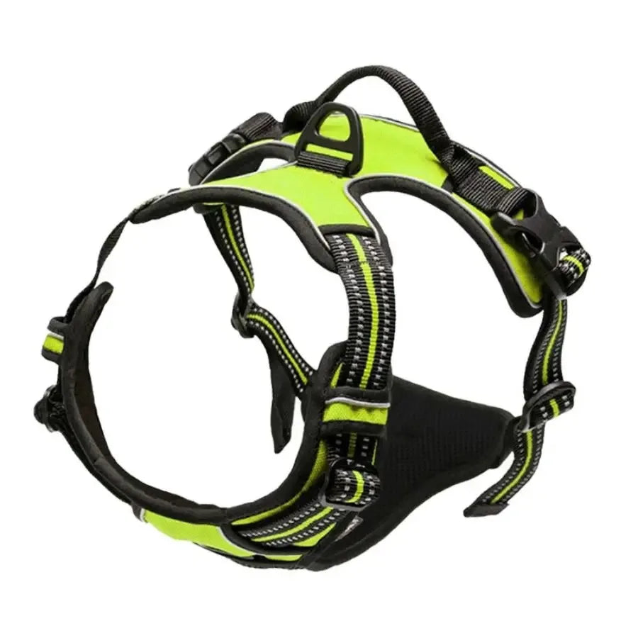 Dog Collar & Harness Set – Leather Puppy Leash & Vest for Small & Medium Dogs