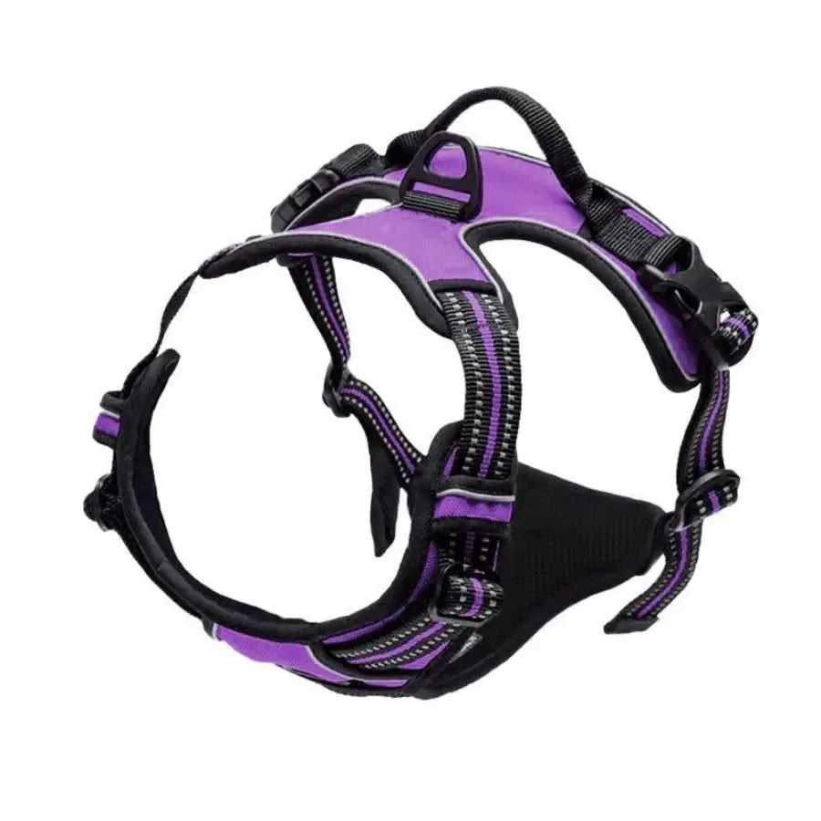 Dog Collar & Harness Set – Leather Puppy Leash & Vest for Small & Medium Dogs