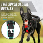 Dog Collar & Harness Set – Leather Puppy Leash & Vest for Small & Medium Dogs