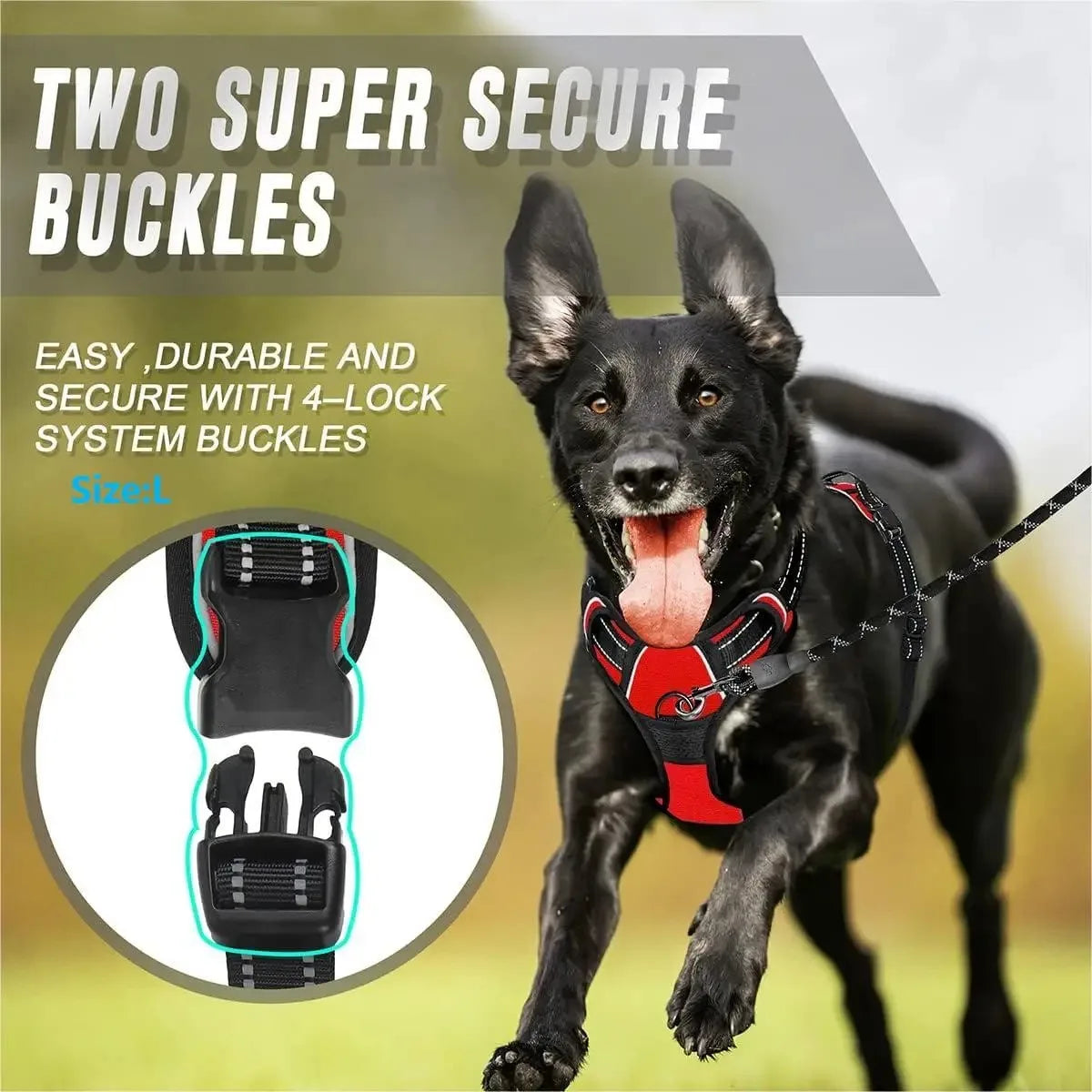 Dog Collar & Harness Set – Leather Puppy Leash & Vest for Small & Medium Dogs