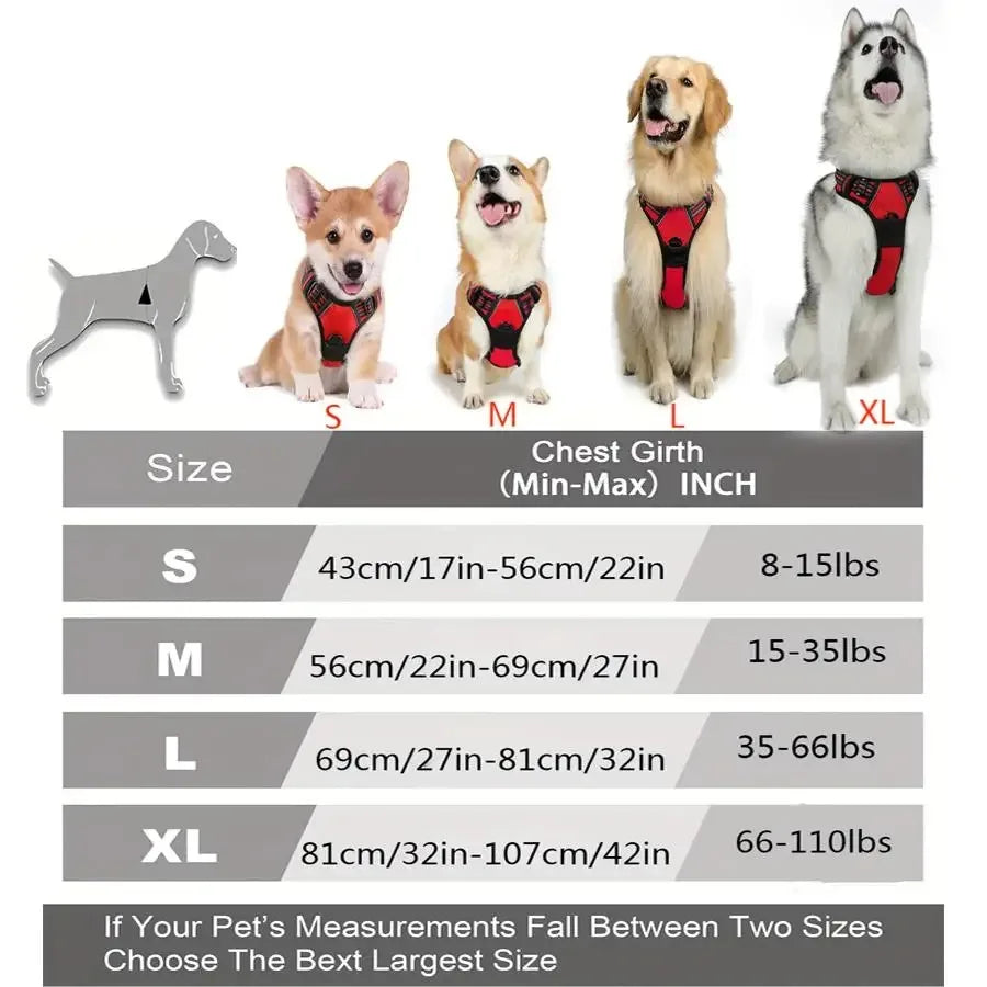 Dog Collar & Harness Set – Leather Puppy Leash & Vest for Small & Medium Dogs