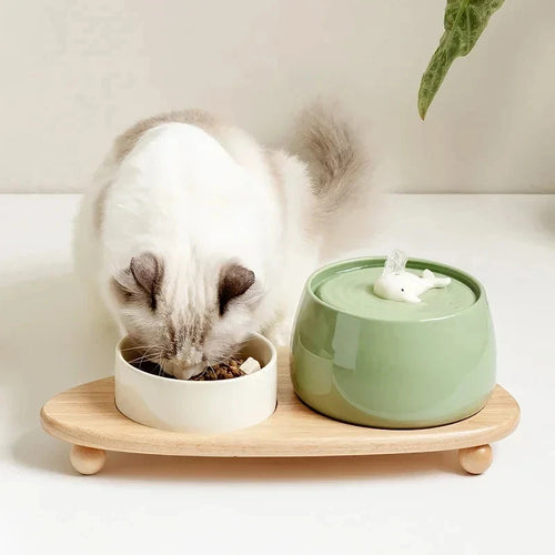 1.3L Ceramic Cat Water Fountain – USB Pet Water Dispenser with Automatic Circulating Filtration for Cats & Dogs
