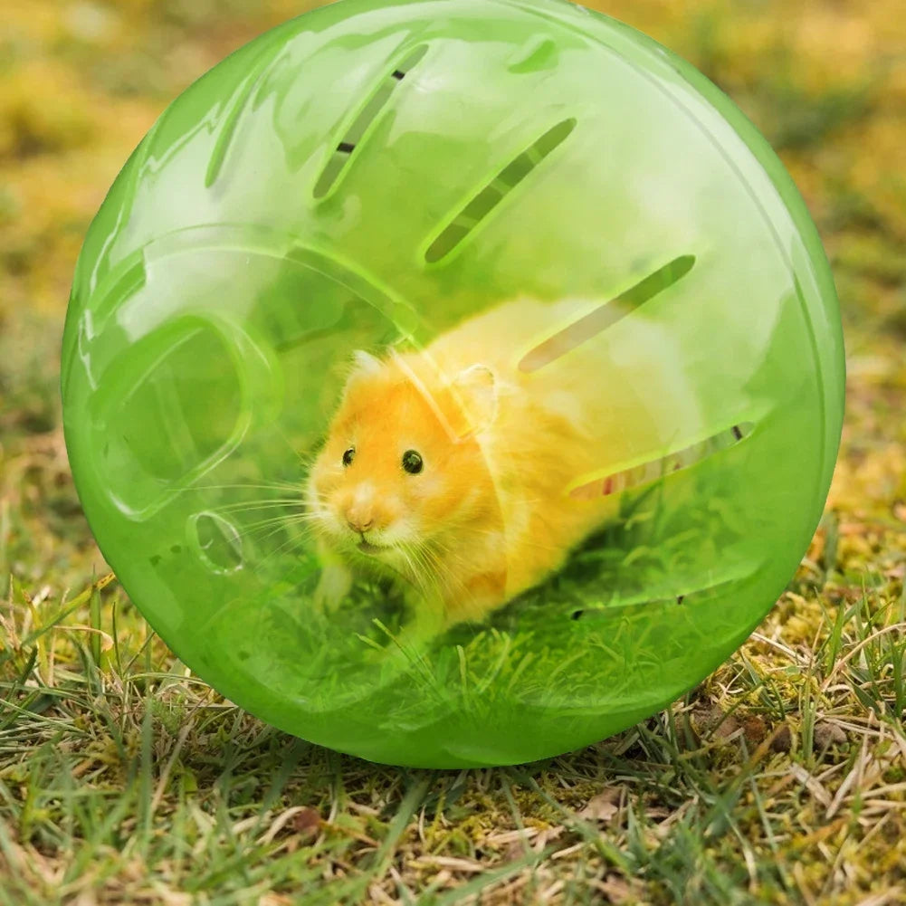 10cm / 12cm Hamster Exercise Ball – Safe Running Toy for Hamsters, Gerbils, Rats, Mice & Small Rodents
