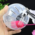 10cm / 12cm Hamster Exercise Ball – Safe Running Toy for Hamsters, Gerbils, Rats, Mice & Small Rodents