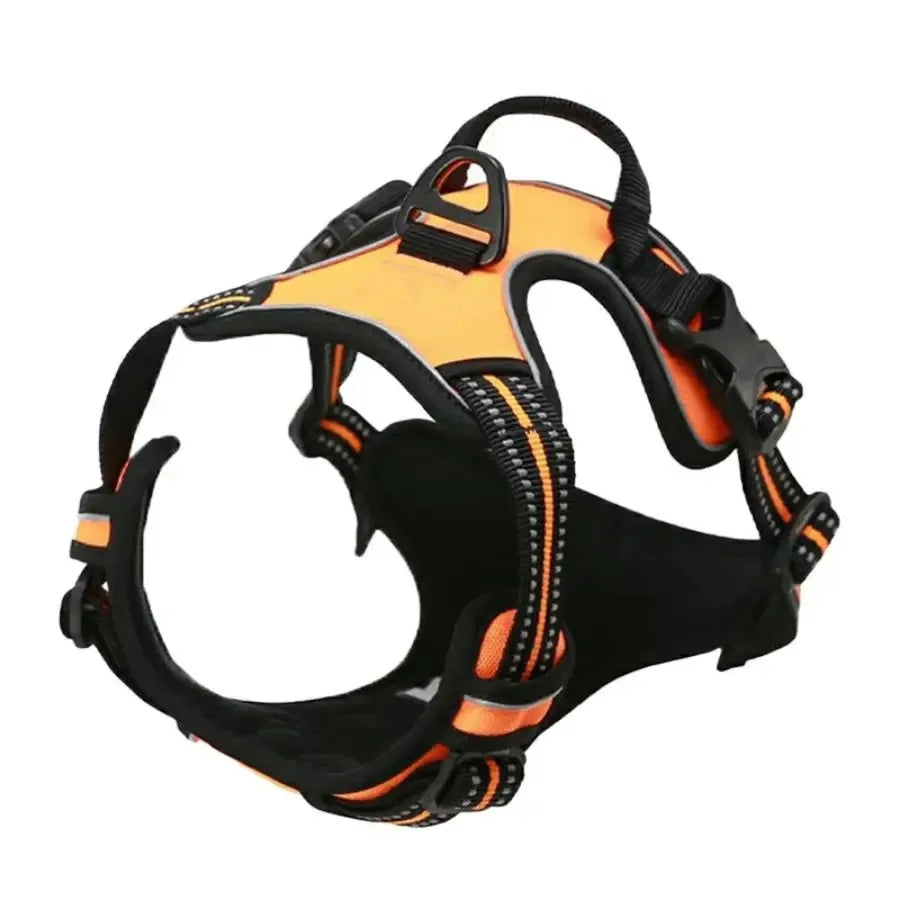 Dog Collar & Harness Set – Leather Puppy Leash & Vest for Small & Medium Dogs