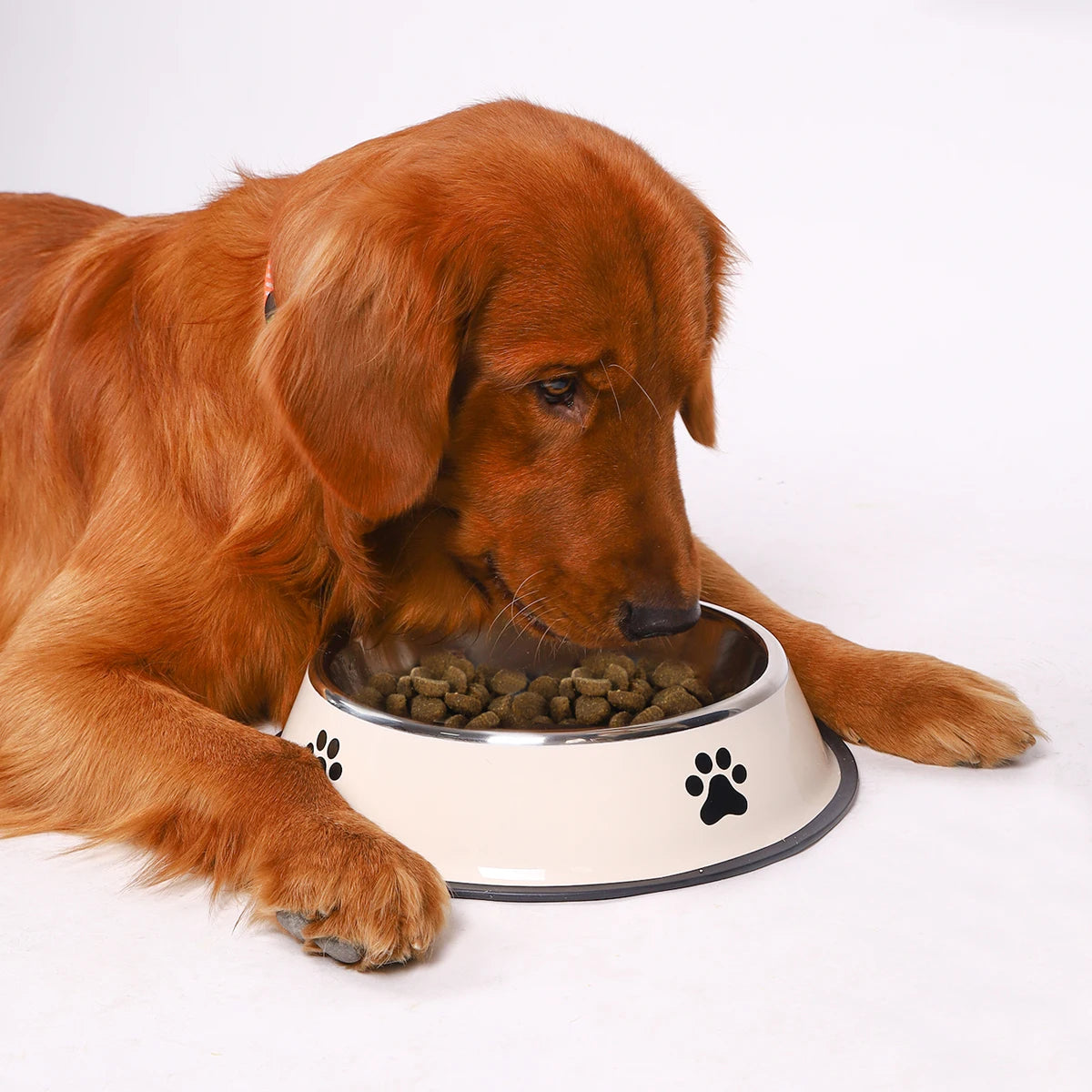 Stainless Steel Pet Bowl – Durable Cat & Dog Food Bowl, Anti-Fall, Multi-Size Feeding Bowl