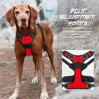 Dog Collar & Harness Set – Leather Puppy Leash & Vest for Small & Medium Dogs