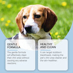 Pet Dental Care Kit – Dog & Cat Toothbrush with 30ml Oral Solution for Tartar Control & Fresh Breath
