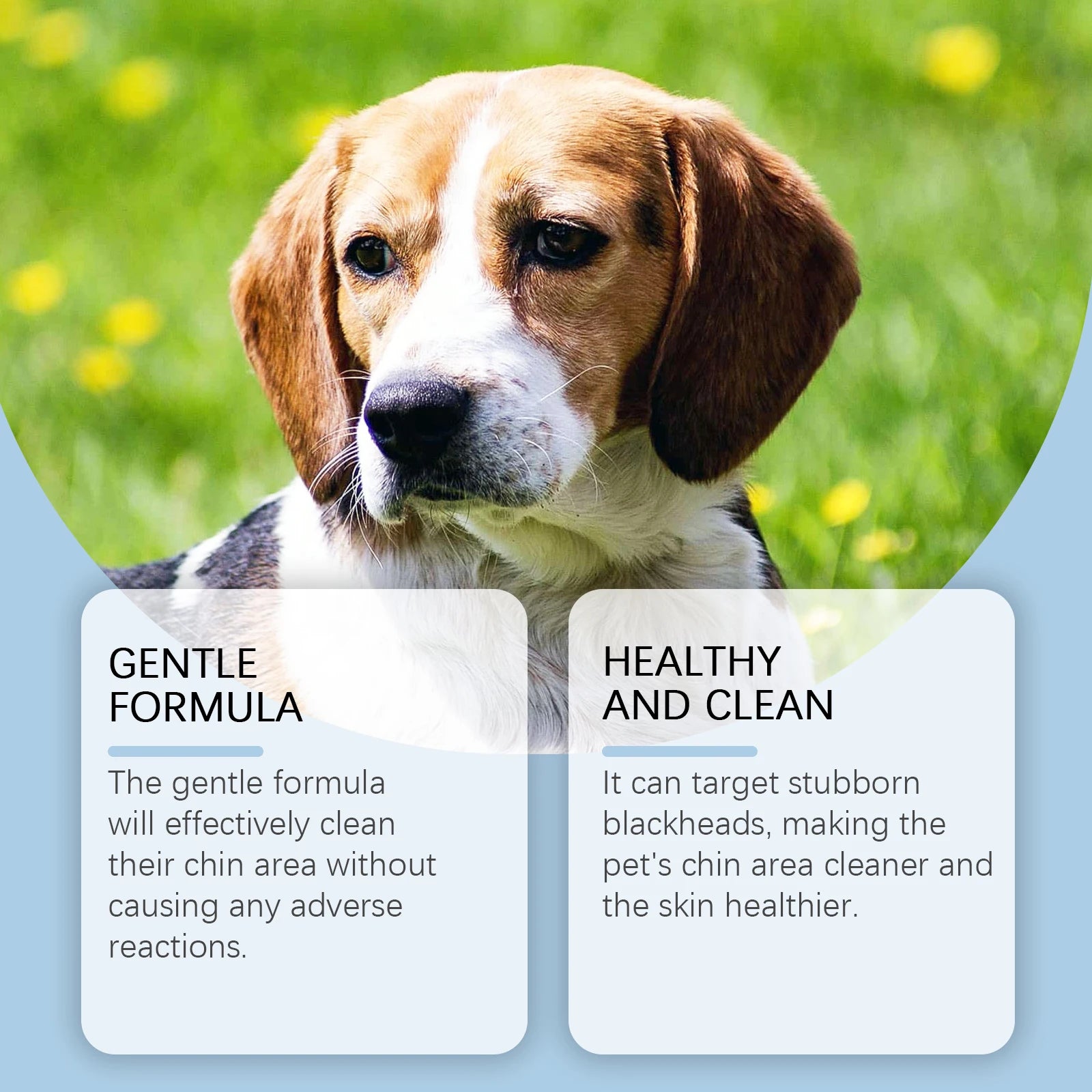 Pet Dental Care Kit – Dog & Cat Toothbrush with 30ml Oral Solution for Tartar Control & Fresh Breath