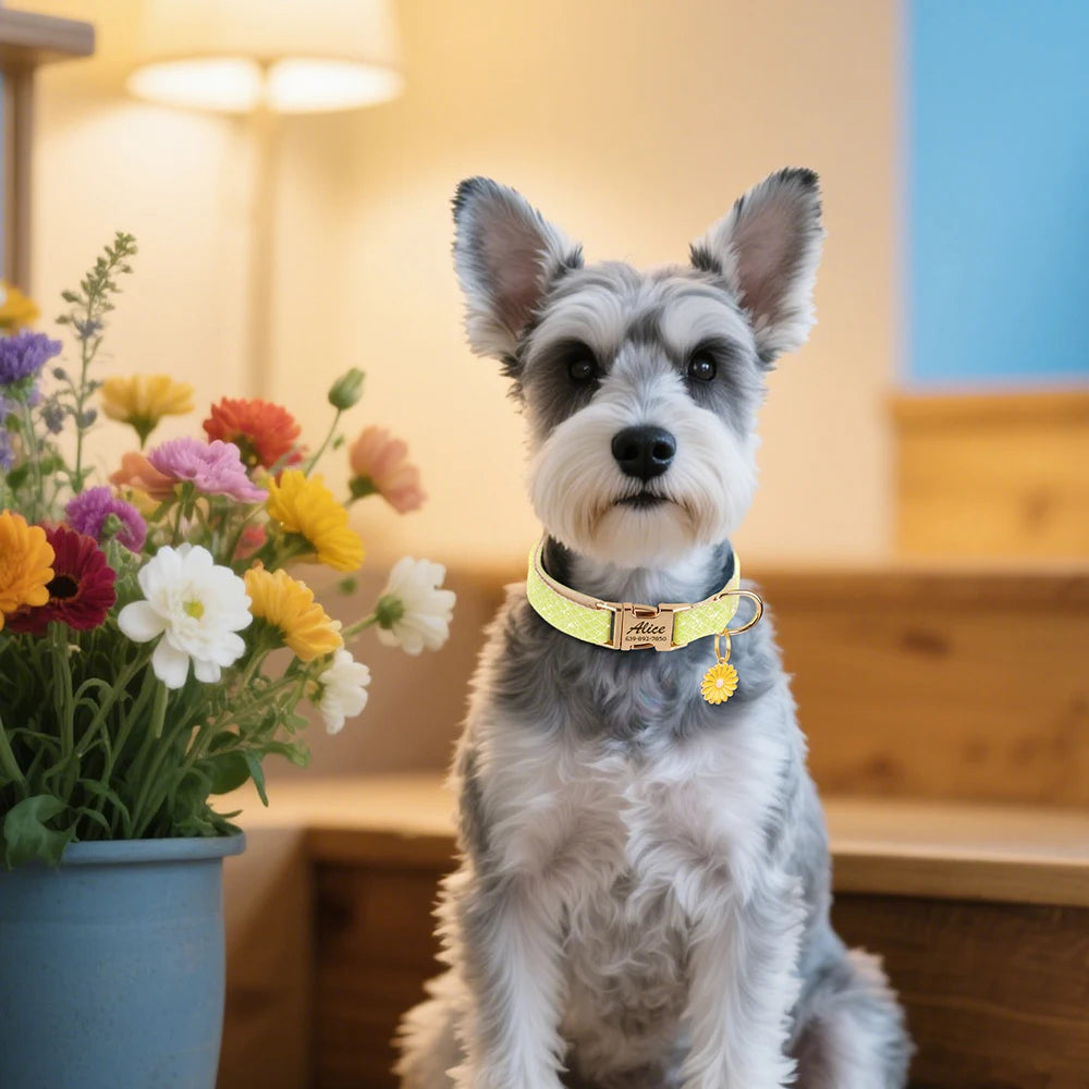 Custom Bling Nylon Dog Collar – Free Engraved ID Nameplate with Cute Flower Tag for Small & Medium Dogs and Cats