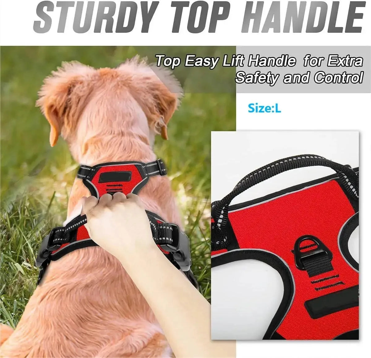 Dog Collar & Harness Set – Leather Puppy Leash & Vest for Small & Medium Dogs
