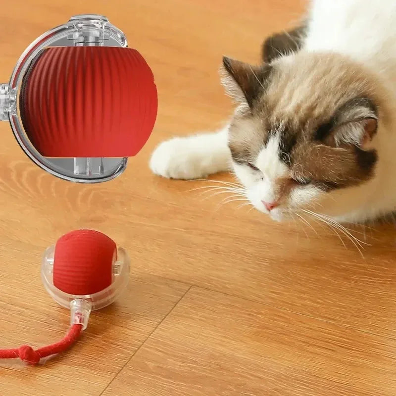 Smart Automatic Rolling Cat Toy – Rechargeable Interactive Mouse Tail for Cats