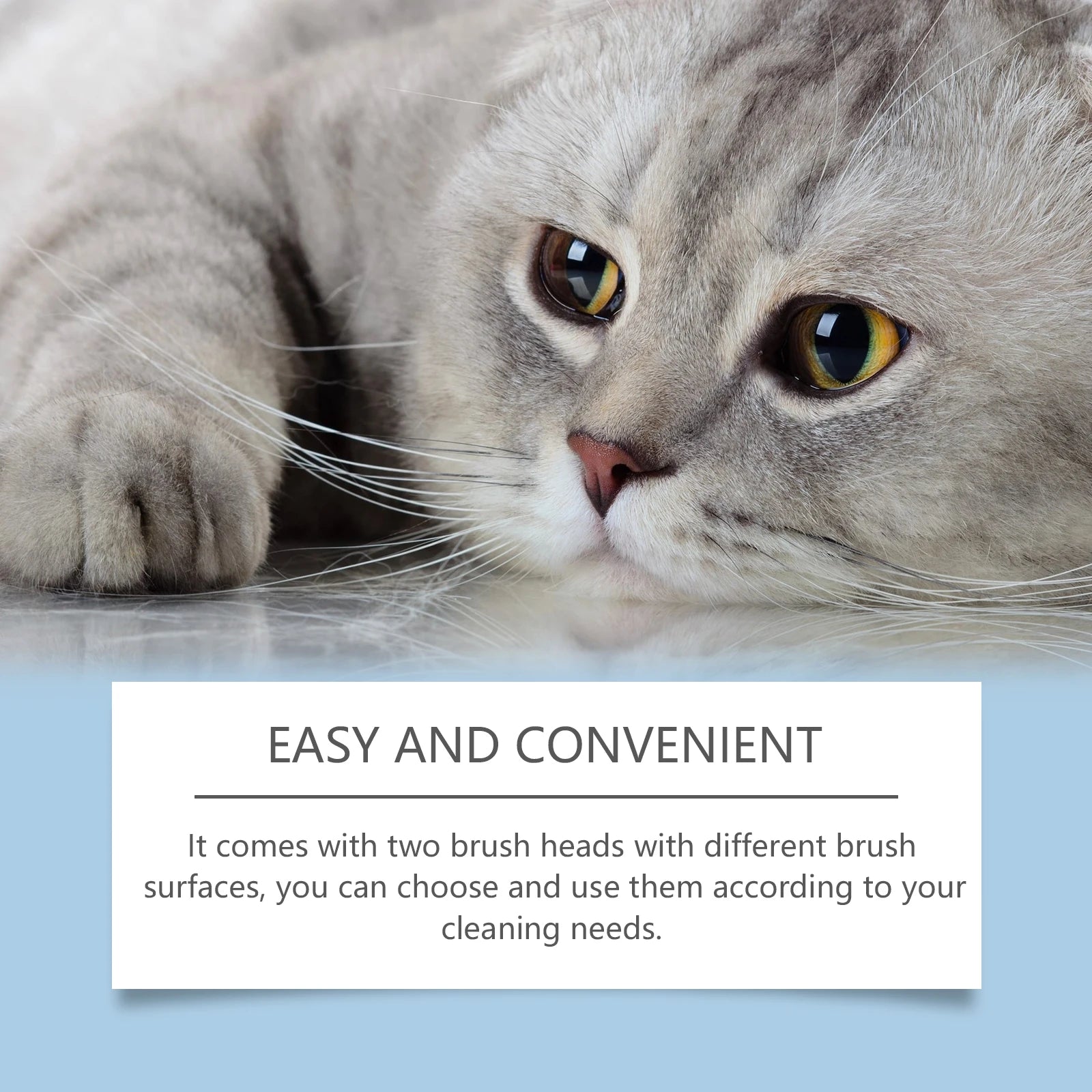 Pet Dental Care Kit – Dog & Cat Toothbrush with 30ml Oral Solution for Tartar Control & Fresh Breath