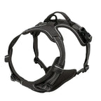 Dog Collar & Harness Set – Leather Puppy Leash & Vest for Small & Medium Dogs