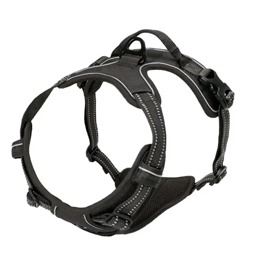 Dog Collar & Harness Set – Leather Puppy Leash & Vest for Small & Medium Dogs
