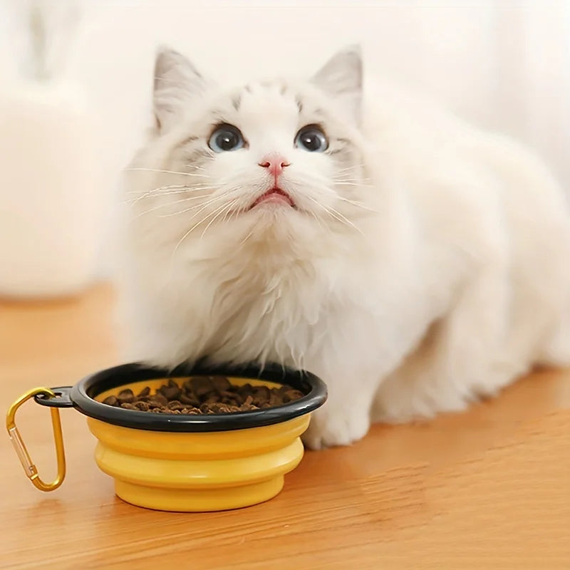 350ML Portable Folding Pet Bowl with Keychain – Travel Cat & Dog Bowl, Durable & Convenient