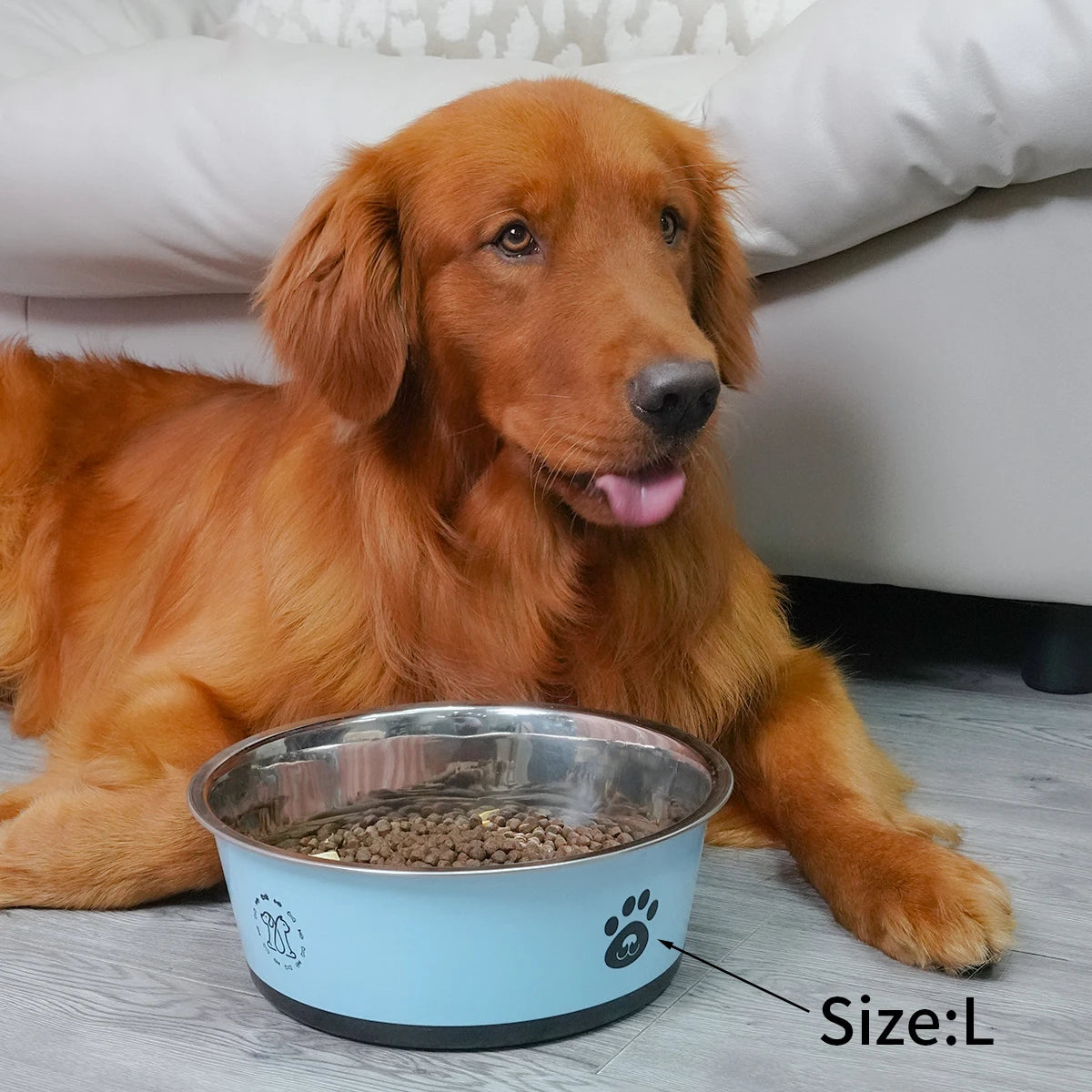 Non-Slip Stainless Steel Pet Bowl – Anti-Tip Dog & Cat Food Bowl