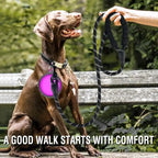 Strong Reflective Dog Leash for Small, Medium & Large Dogs – Durable Pet Leash for Golden Retriever, Training, Walking & Pull Control