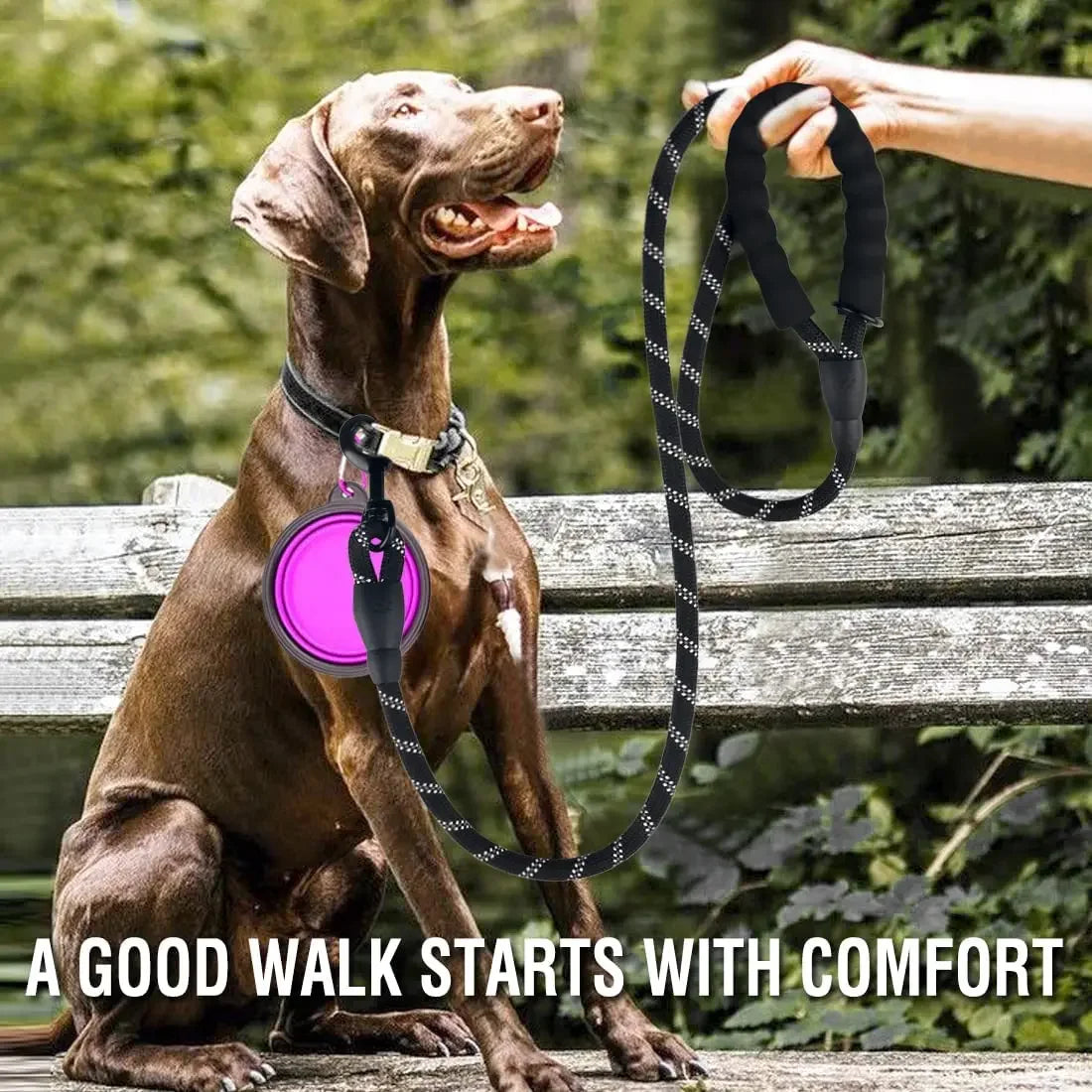 Strong Reflective Dog Leash for Small, Medium & Large Dogs – Durable Pet Leash for Golden Retriever, Training, Walking & Pull Control