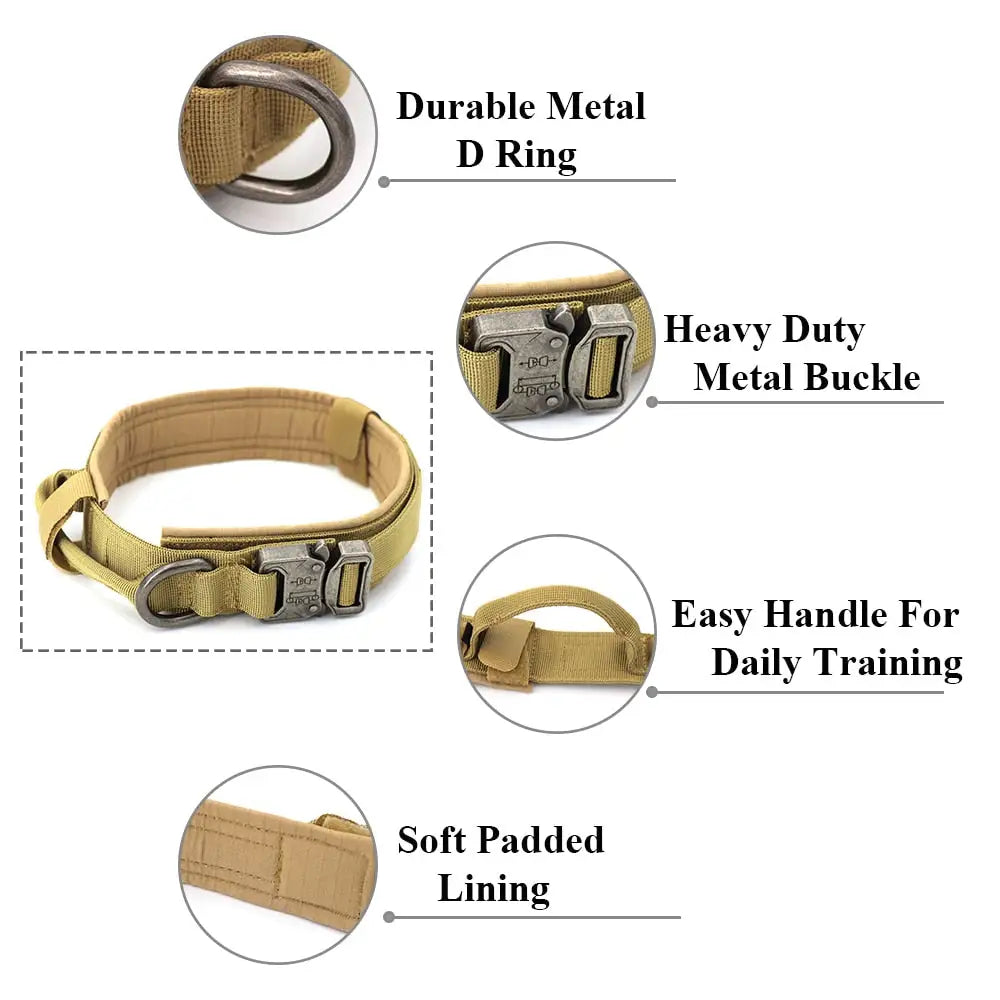 Collar For Dogs